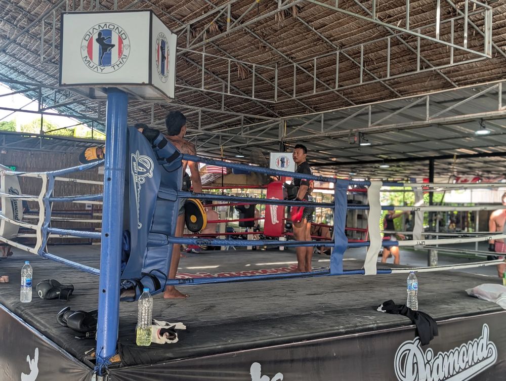 Pad rounds one on one, two rounds when the session is busy