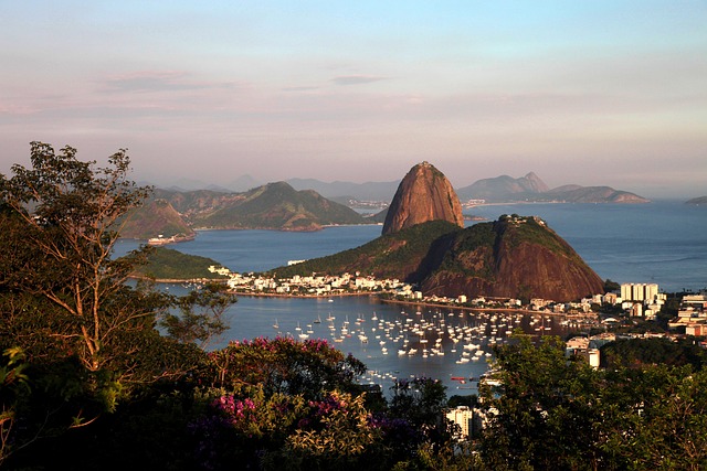 Muay Thai in Rio de Janeiro